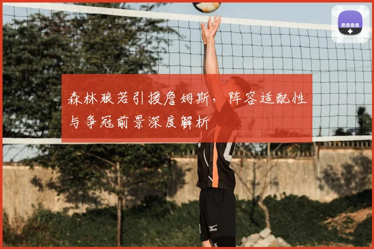 森林狼若引援詹姆斯,阵容适配性与争冠前景深度解析