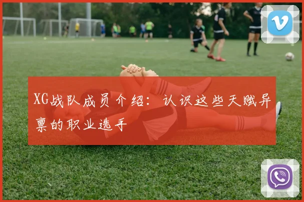 XG战队成员介绍：认识这些天赋异禀的职业选手