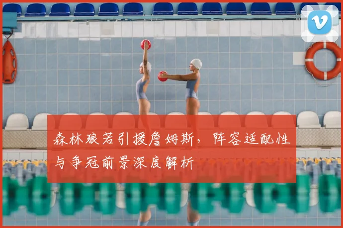 森林狼若引援詹姆斯,阵容适配性与争冠前景深度解析