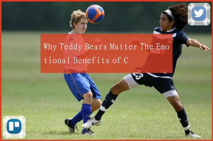 Why Teddy Bears Matter The Emotional Benefits of C